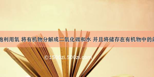 填空题细胞利用氧 将有机物分解成二氧化碳和水 并且将储存在有机物中的能量释放出