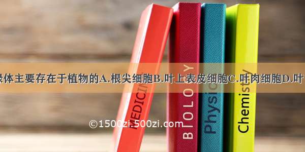 单选题叶绿体主要存在于植物的A.根尖细胞B.叶上表皮细胞C.叶肉细胞D.叶下表皮细胞