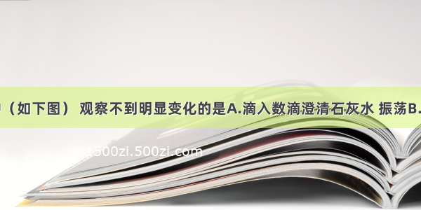 下列实验中（如下图） 观察不到明显变化的是A.滴入数滴澄清石灰水 振荡B.滴入数滴澄