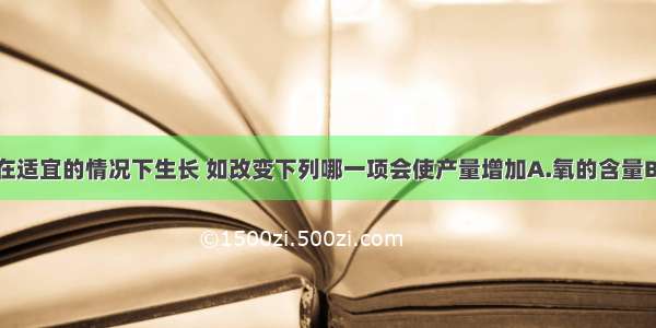 单选题水稻在适宜的情况下生长 如改变下列哪一项会使产量增加A.氧的含量B.CO2的含量