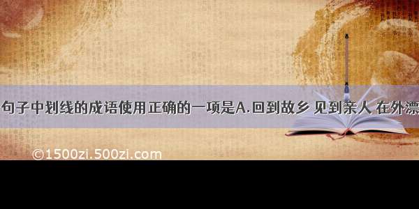 单选题下列句子中划线的成语使用正确的一项是A.回到故乡 见到亲人 在外漂泊多年的他