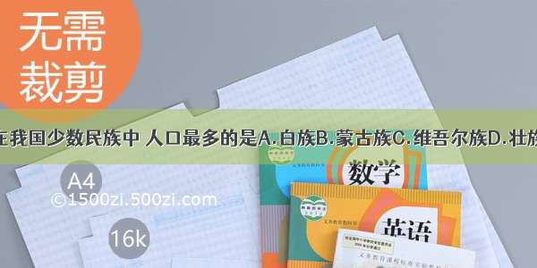 在我国少数民族中 人口最多的是A.白族B.蒙古族C.维吾尔族D.壮族