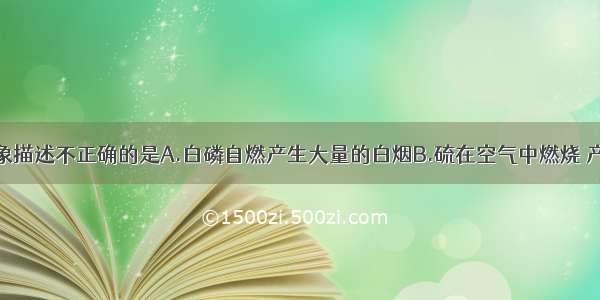 下列实验现象描述不正确的是A.白磷自燃产生大量的白烟B.硫在空气中燃烧 产生淡蓝色火