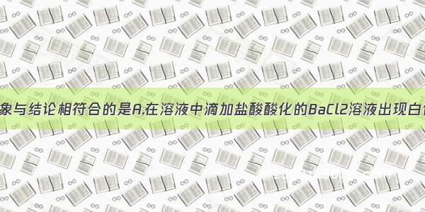 下列实验现象与结论相符合的是A.在溶液中滴加盐酸酸化的BaCl2溶液出现白色沉淀 则溶