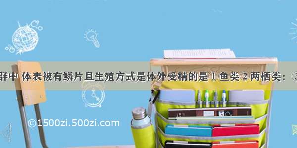 下列动物类群中 体表被有鳞片且生殖方式是体外受精的是①鱼类②两栖类：③爬行类④鸟