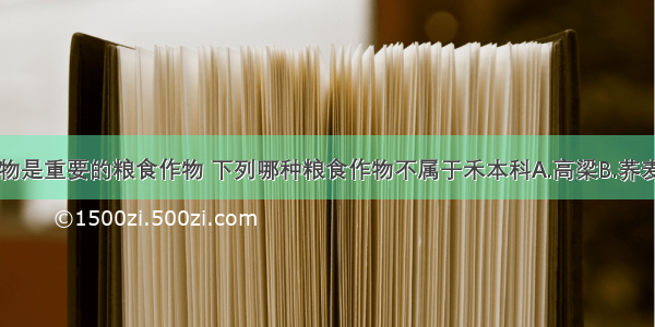 很多禾本科植物是重要的粮食作物 下列哪种粮食作物不属于禾本科A.高梁B.荞麦C.小麦D.青稞