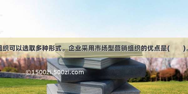 企业的营销组织可以选取多种形式。企业采用市场型营销组织的优点是(　　)。A.层次简化