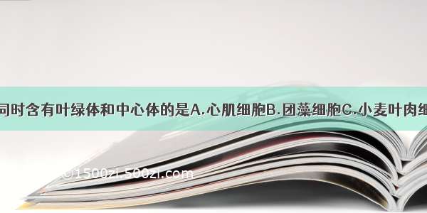 下列细胞中 同时含有叶绿体和中心体的是A.心肌细胞B.团藻细胞C.小麦叶肉细胞D.洋葱根