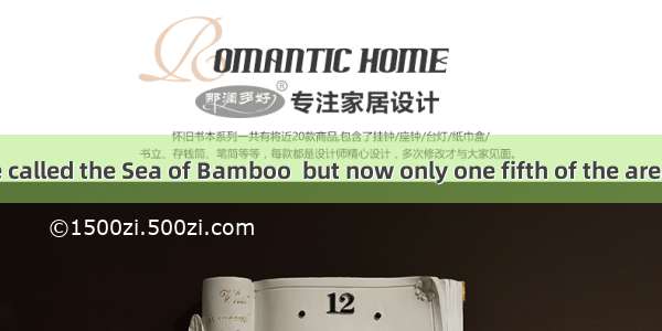 30. It was once called the Sea of Bamboo  but now only one fifth of the area  covered with