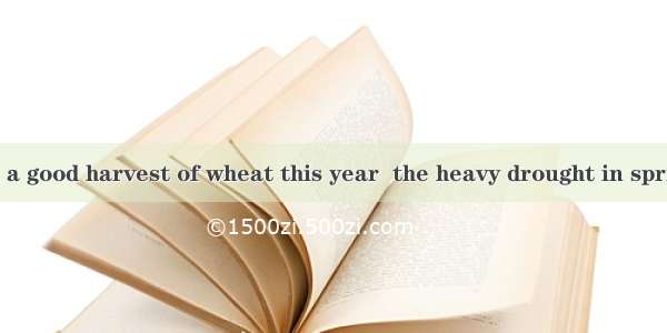 9.We still had a good harvest of wheat this year  the heavy drought in spring . A. in spit