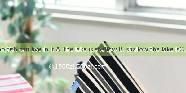 So  that no fish can live in it.A. the lake is shallow B. shallow the lake isC. shallow is