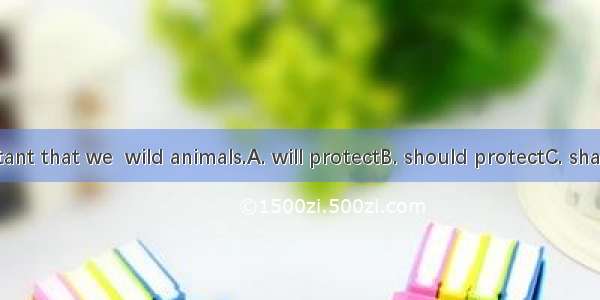 It is important that we  wild animals.A. will protectB. should protectC. shall protectD.