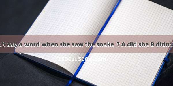 The lady couldn\'t say a word when she saw the snake  ? A did she B didn\'t she C could she