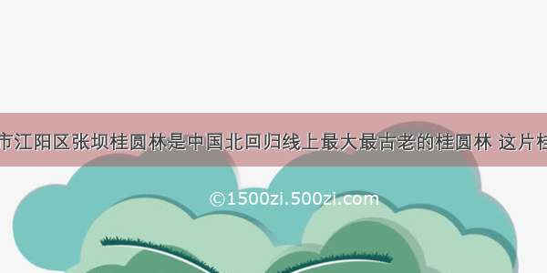 单选题泸州市江阳区张坝桂圆林是中国北回归线上最大最古老的桂圆林 这片桂圆林将被打