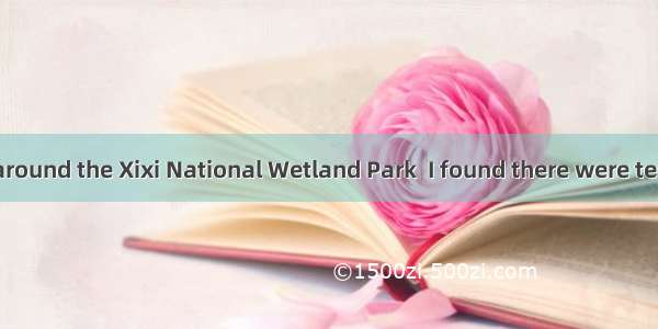 While walking around the Xixi National Wetland Park  I found there were tens of thousands