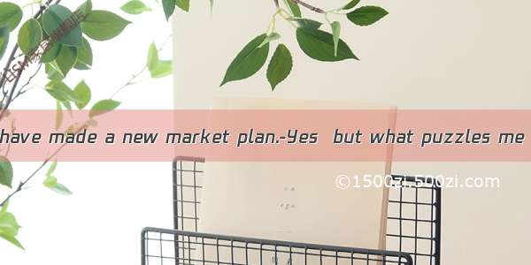 I hear that you have made a new market plan.-Yes  but what puzzles me now is how to