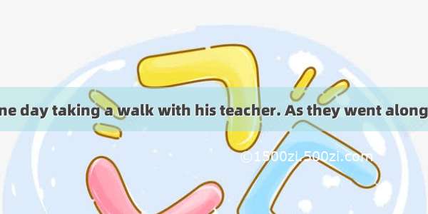 A student was one day taking a walk with his teacher. As they went along  they saw a pair