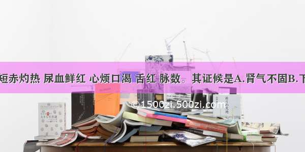 患者小便短赤灼热 尿血鲜红 心烦口渴 舌红 脉数。其证候是A.肾气不固B.下焦热盛C.