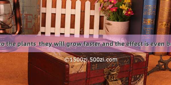“If you talk to the plants  they will grow faster and the effect is even better if you’re