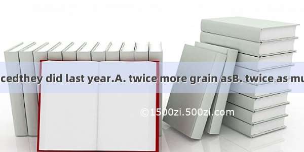 They have producedthey did last year.A. twice more grain asB. twice as much grain asC. twi