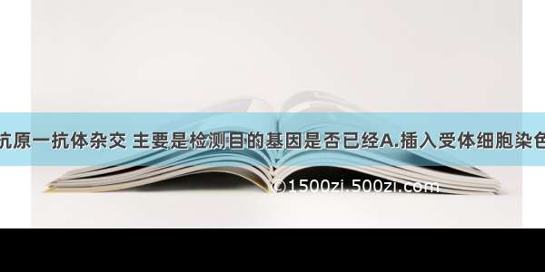 单选题进行抗原一抗体杂交 主要是检测目的基因是否已经A.插入受体细胞染色体DNA上B.