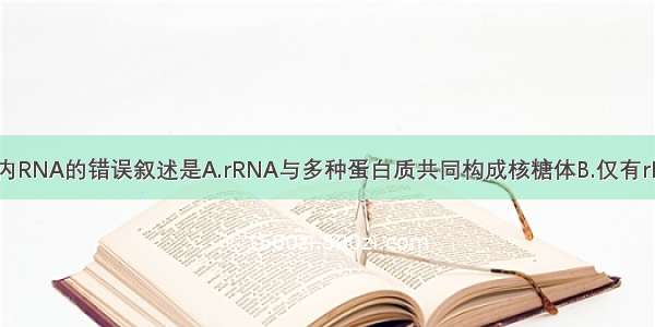 下列有关人体内RNA的错误叙述是A.rRNA与多种蛋白质共同构成核糖体B.仅有rRNA tRNA和m