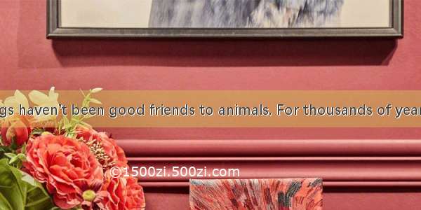 We human beings haven’t been good friends to animals. For thousands of years  we have been