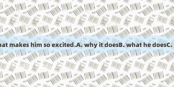 I just wonder  that makes him so excited.A. why it doesB. what he doesC. how it isD. what