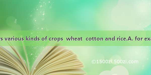 The farmer grows various kinds of crops  wheat  cotton and rice.A. for exampleB. asC. that