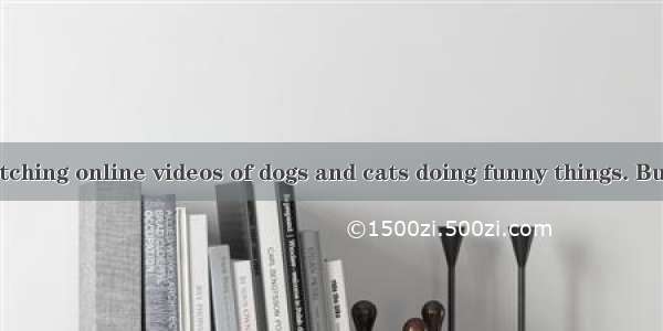 We all like watching online videos of dogs and cats doing funny things. But if you had to