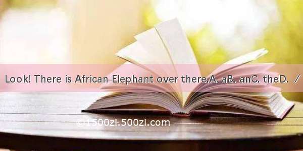 Look! There is African Elephant over there.A. aB. anC. theD. ／