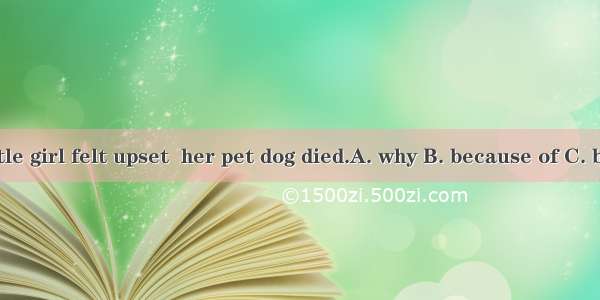 The little girl felt upset  her pet dog died.A. why B. because of C. because