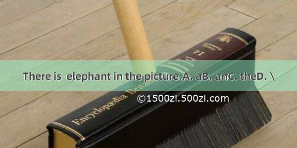 There is  elephant in the picture.A. aB. anC. theD. \