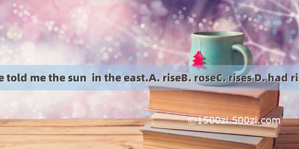 She told me the sun  in the east.A. riseB. roseC. rises D. had risen