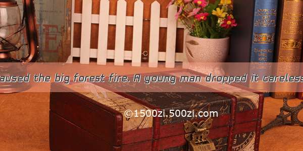 It’s the  that caused the big forest fire. A young man dropped it carelessly at picnic.A.