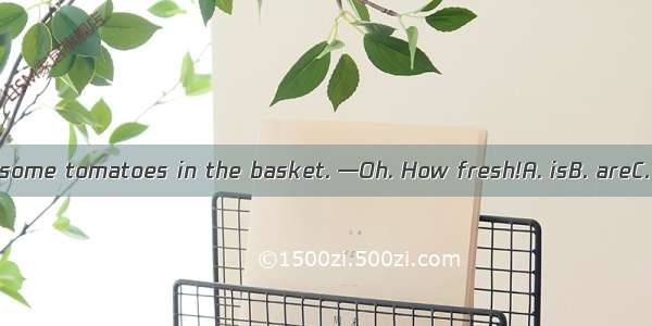 —Look! There  some tomatoes in the basket. —Oh. How fresh!A. isB. areC. wasD. were