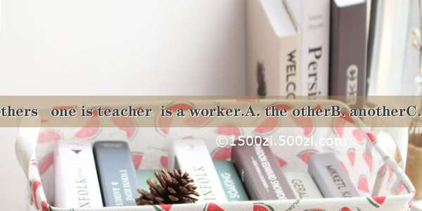 He has two brothers   one is teacher  is a worker.A. the otherB. anotherC. otherD. others