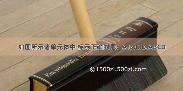 如图所示诸单元体中 标示正确的是：A.B.C.D.ABCD