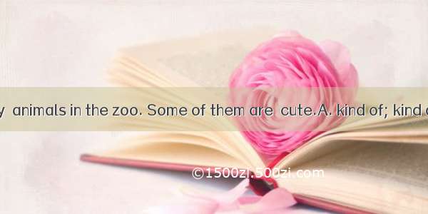 There are many  animals in the zoo. Some of them are  cute.A. kind of; kind ofB. kinds of;