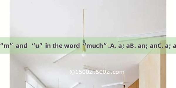 There is  “m” and  “u” in the word “much”.A. a; aB. an; anC. a; anD. an; a