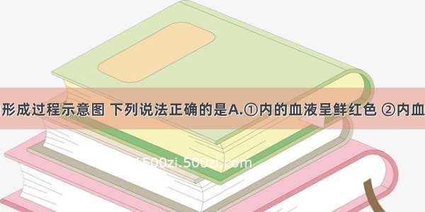 如图是尿的形成过程示意图 下列说法正确的是A.①内的血液呈鲜红色 ②内血液呈暗红色