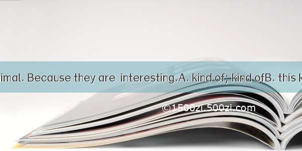 We all like animal. Because they are  interesting.A. kind of; kind ofB. this kind of; kind