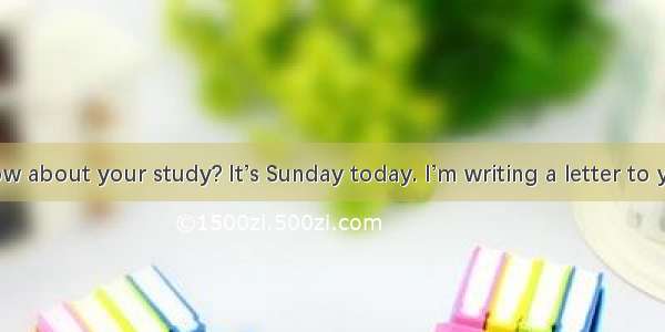 Dear PeterHow about your study? It’s Sunday today. I’m writing a letter to you. I’m going