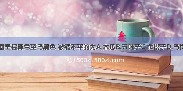 下列药材中 表面呈棕黑色至乌黑色 皱缩不平的为A.木瓜B.五味子C.金樱子D.乌梅E.瓜蒌ABCDE