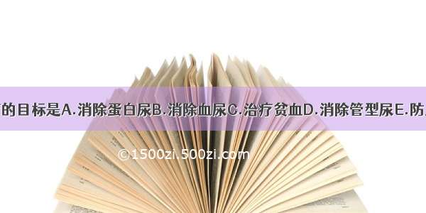 慢性肾炎治疗的目标是A.消除蛋白尿B.消除血尿C.治疗贫血D.消除管型尿E.防止或延缓肾功