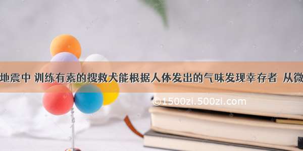 在青海玉树地震中 训练有素的搜救犬能根据人体发出的气味发现幸存者．从微观的角度分