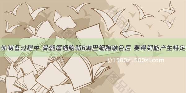 在单克隆抗体制备过程中 骨髓瘤细胞和B淋巴细胞融合后 要得到能产生特定抗体的杂交