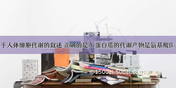 单选题下列关于人体细胞代谢的叙述 正确的是A.蛋白质的代谢产物是氨基酸B.雌性激素合成