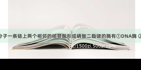 能催化DNA分子一条链上两个相邻的核苷酸形成磷酸二酯键的酶有①DNA酶 ②DNA连接酶 