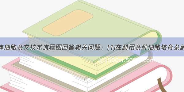 据下面植物体细胞杂交技术流程图回答相关问题：(1)在利用杂种细胞培育杂种植株的过程